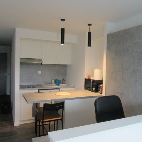 Appartement Meublé - La Roche Sur Yon 2 pièce(s) 33.61 m2 - Photo 1