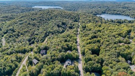 Maison de plain-pied à louer - Sainte-Anne-des-Lacs Maison de plain-pied à louer - Sainte-Anne-des-Lacs - Photo 4