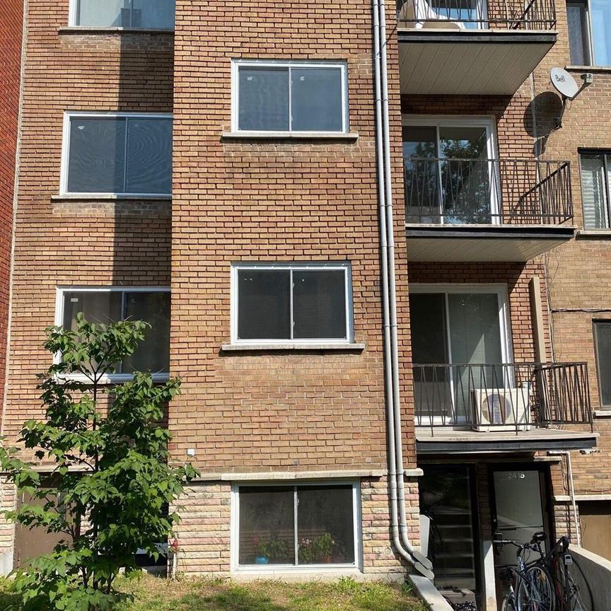 1 CH - 1 SDB - Montréal - $1,290 /mo - Photo 1