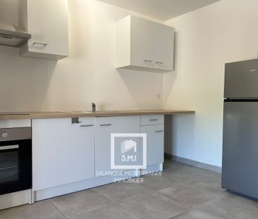 Location Appartement 1 pièce 38m² ST ESTEVE 66240 - Photo 6