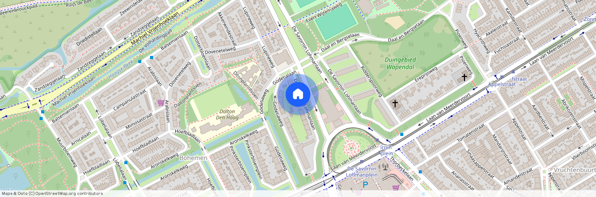 De Savornin Lohmanlaan 142, Bohemen en Meer en Bos, 2566AT, Den Haag