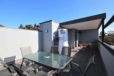 Norman St (H46), Paradise – Room D - Photo 5