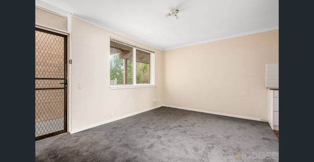 Central Village Lifestyle - Photo 1