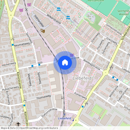 3097, Liebefeld, Waldeggstrasse, 41