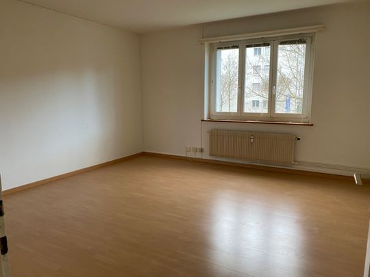Grossbasel MFH Flughafenstrasse - Foto 1