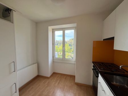 Charmante 3-Zimmer-Wohnung an der Maihofstrasse in Luzern - Foto 3