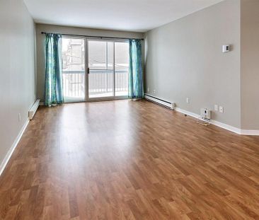 4 1/2 GRAND, lumineux, rénové (LORETTEVILLE) - Photo 1