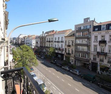 PML – Lemonnier 115.03 - Photo 5