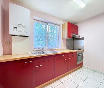 Gelijkvloerse verdieping met één slaapkamer in Péruwelz - Foto 1