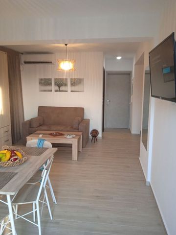 Studio/Γκαρσονιέρα για ενοικίαση Αετός (Κάρυστος) - Photo 2