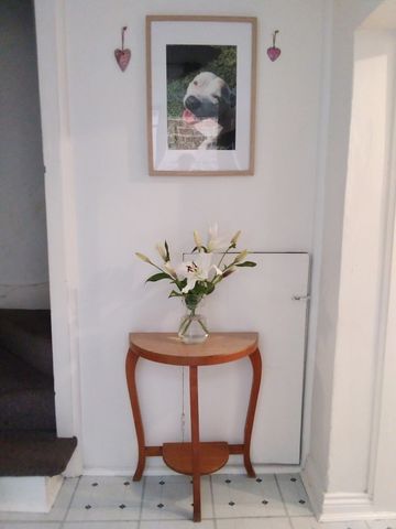 Surry Hills - Photo 2