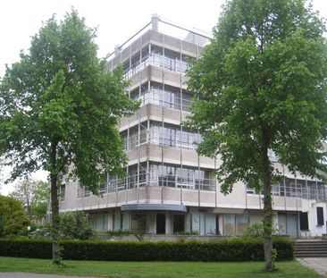 Te huur: Studio Burgemeester Drijbersingel 19 209 in Zwolle - Photo 5
