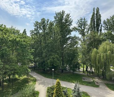 2 pok z widokiem na park 37 m² - Photo 6