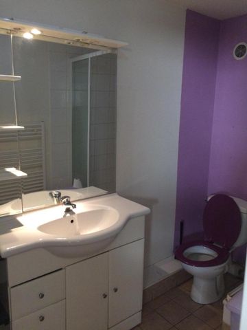 Location Appartement 1 pièce 24m² LYON 2ème - Photo 5