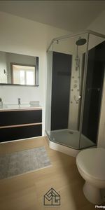 Location Appartement 1 pièce 26m² ROANNE 42300 - Photo 3