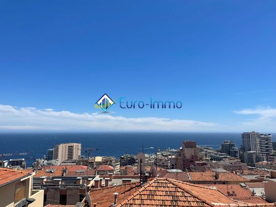 Location Appartement 1 pièce 31m² BEAUSOLEIL 06240 - Photo 1