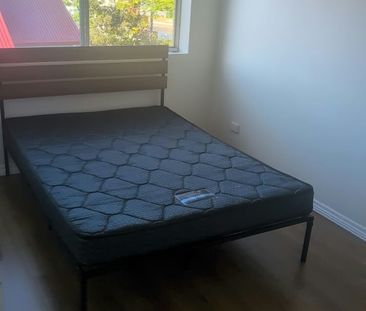 Coorparoo - Photo 3