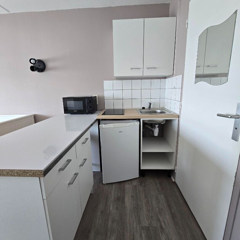 Location Appartement 1 pièce 17m² - Photo 1