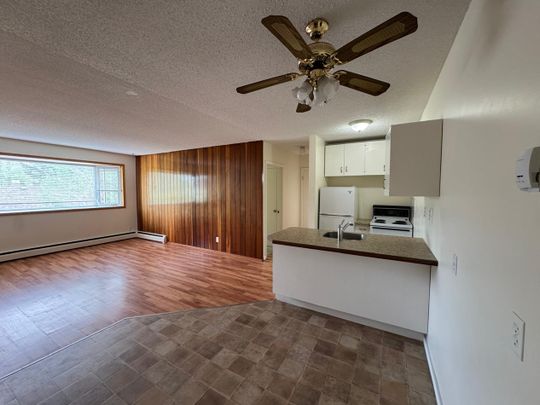 NEW PRICE!! 1 Bedroom Apartments at Bridgeview!! - Photo 1
