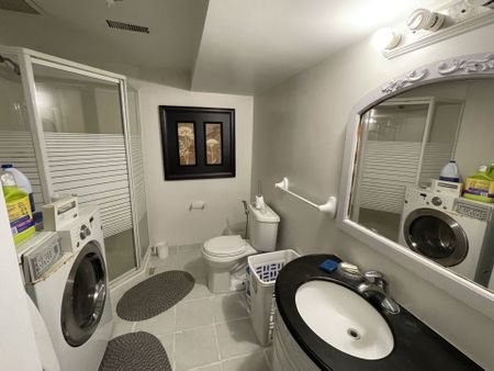 For Lease - 356 Nahani Way Unit# BASEMENT, Mississauga, Ontario - Photo 4