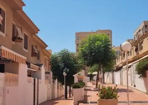 Elche / Elx