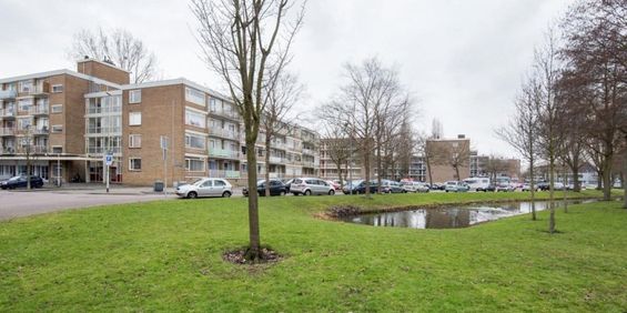 Heymansstraat 0ong, 3076 Rotterdam, Nederland - Photo 3