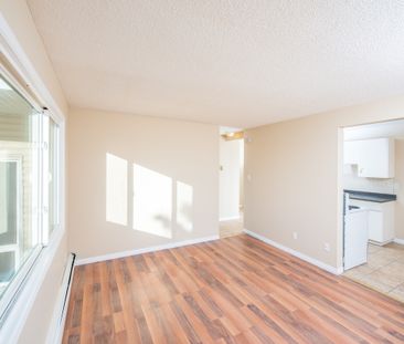 Alexander Apartments - Photo 2