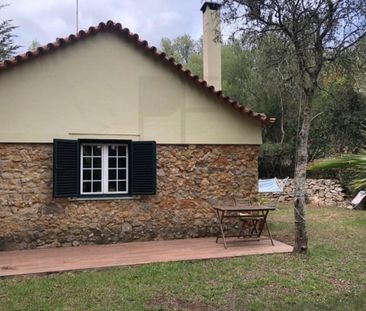 2 room luxury House for rent in Alcabideche, Cascais e Estoril, Cas... - Photo 4