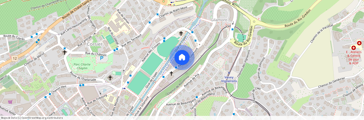 Avenue de Gilamont 17 - C, 1800 Vevey