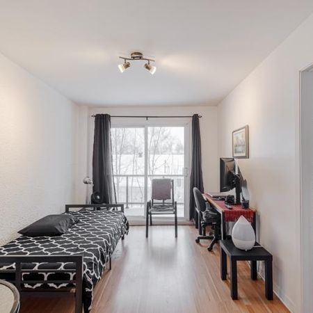 Appartement 3 ½ à louer Sainte-Foy / Sillery juillet 2026 - Photo 3