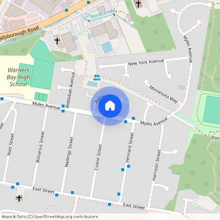 41 Myles Avenue, NSW 2282, Warners Bay