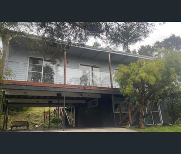 Open plan living, large sun room - Photo 6