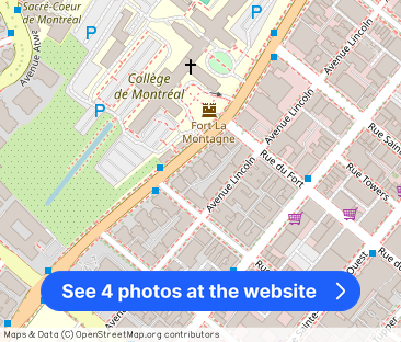 3 CH - 1 SDB - Montréal - $2,200 /mo - Photo 1