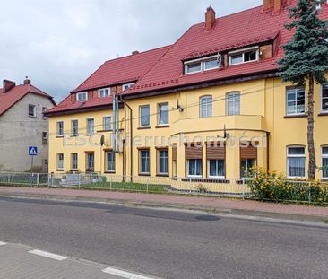 Chodzież - Zdjęcie 6