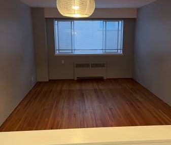 West End 1 bedroom * pets friendly* Vancouver 1 bedroom - Photo 2