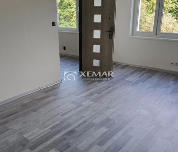1 izbový byt na prenájom 39m2, Továrenská, Vlkanová - Fotografia 4