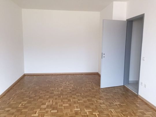 LOCARNO, LUMINOUS 3 1/2-ROOM APARTMENT FOR RENT - Photo 1
