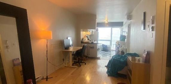 Grand 3 1/2 au cœur du Plateau - Photo 2