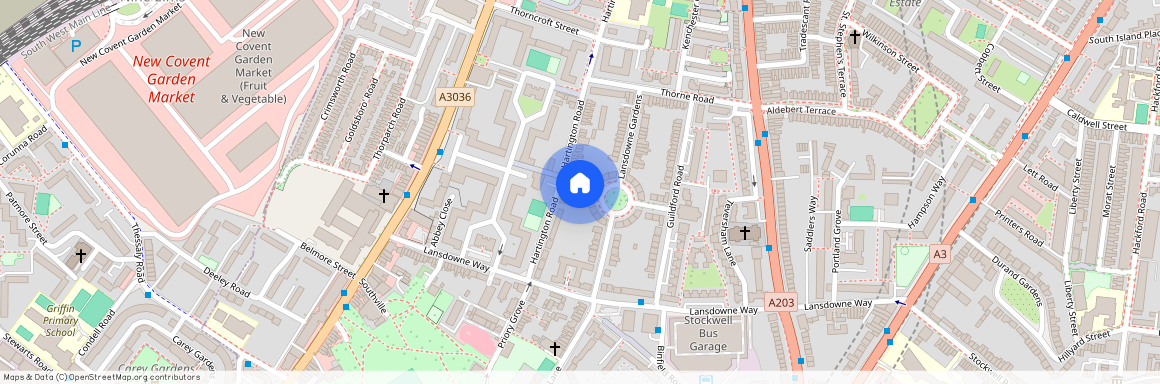 Viceroy Road, London SW8