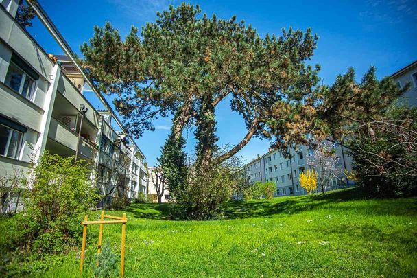 3.5 Zimmer, 80 m², 1. Stock - Photo 1