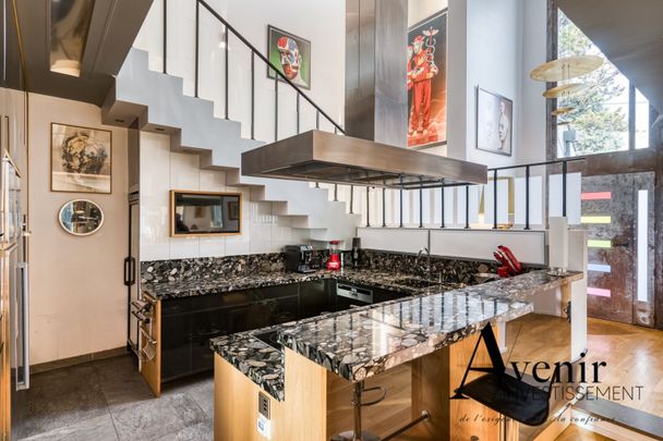 VAISE - MAISON MEUBLEE - 275m2 - PARKING - JARDIN - PISCINE - Photo 1