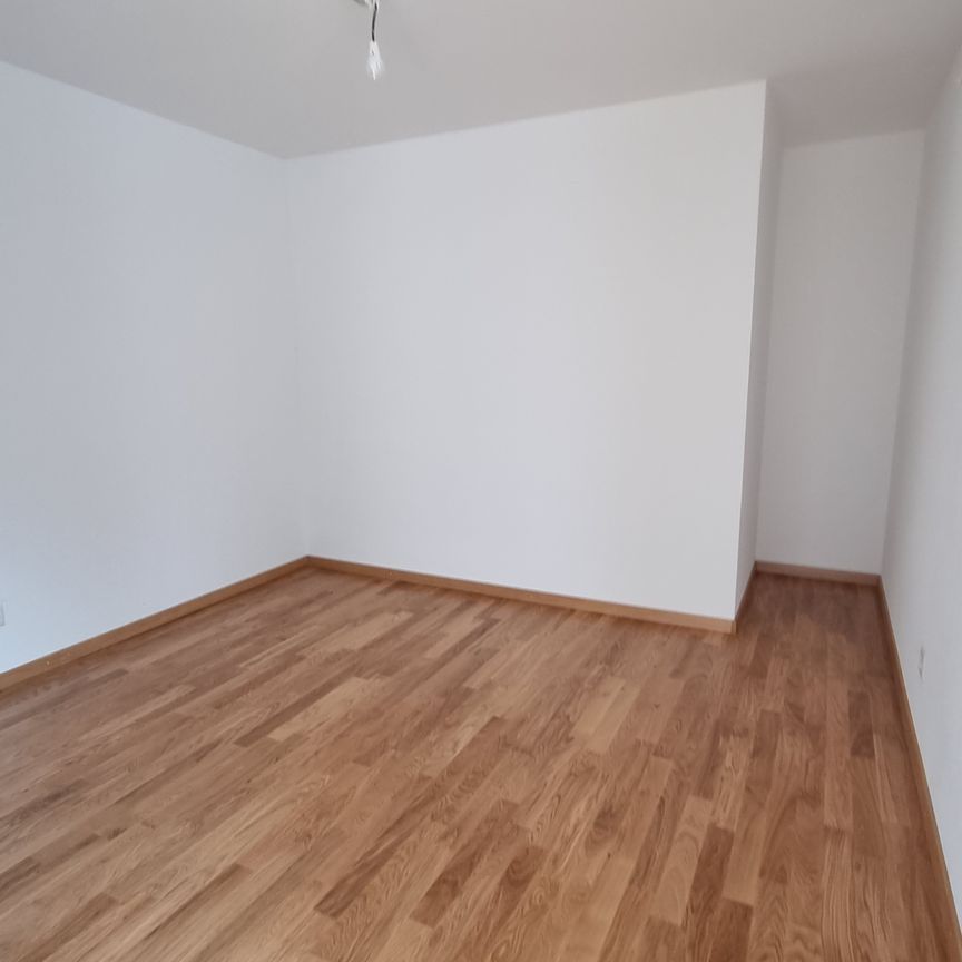 Studio avec terrasse - Photo 1