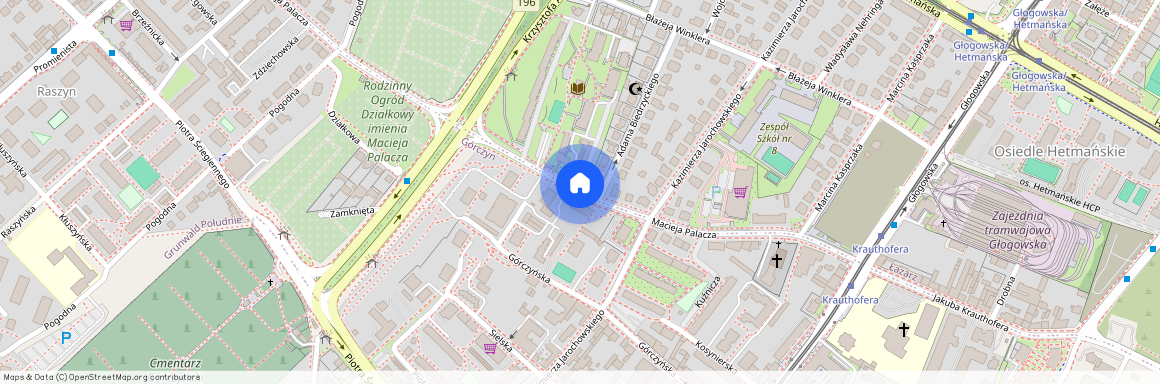 ul. Macieja Palacza, Górczyn, Grunwald, Poznań, wielkopolskie