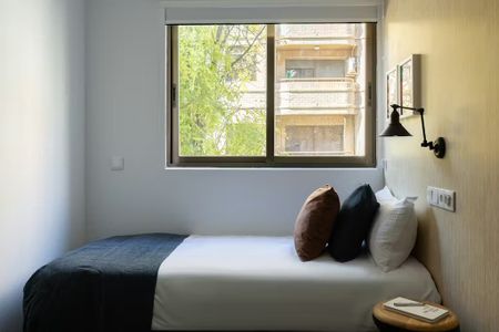 Passeig Facultats, Valencia, Valencian Community 46021 - Photo 3