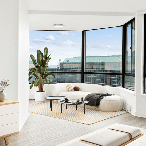 The Carlisle - Photo 1