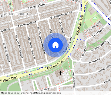 Te huur: Kamer Madeliefstraat 48 in Eindhoven - Photo 1