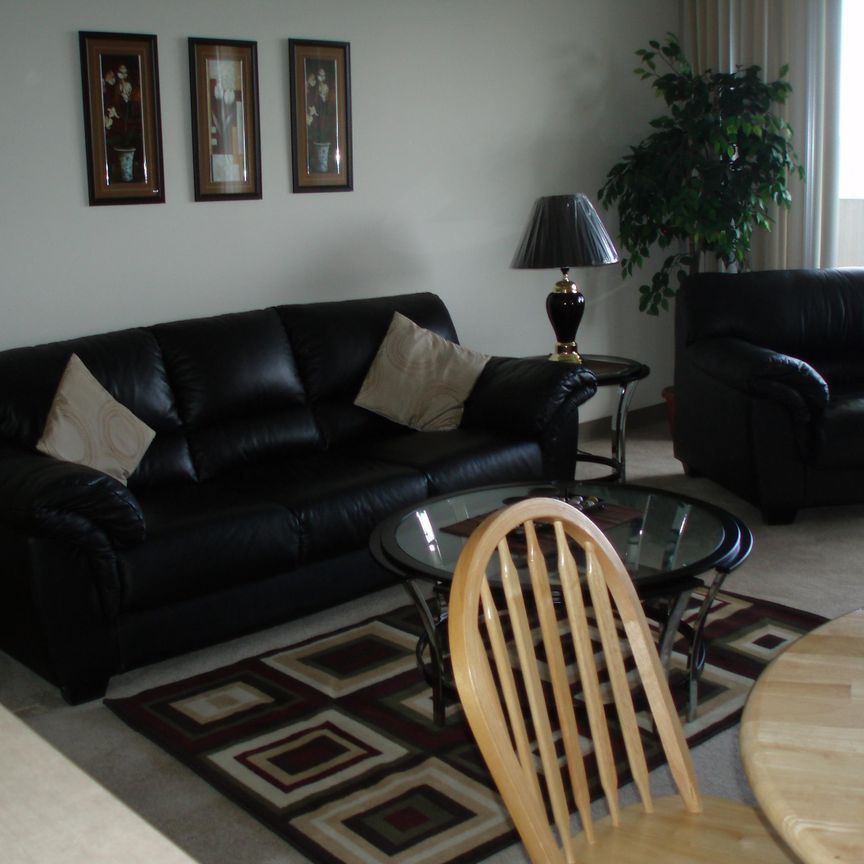 Fully Furnished 1 Bedroom | 1 Bathroom | Central Location | Parking Included - Photo 1