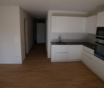 3.5 Zimmer, 72 m², EG - Foto 1