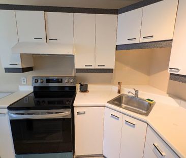 Appartement 4 et demi à louer à Rawdon - Photo 4