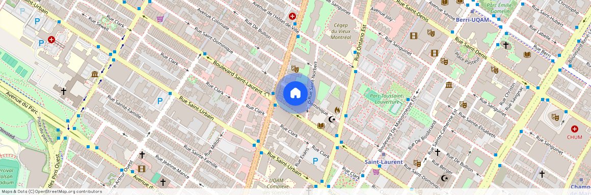 2118 Rue St-Dominique, app.310, H2X 3W1, Montréal